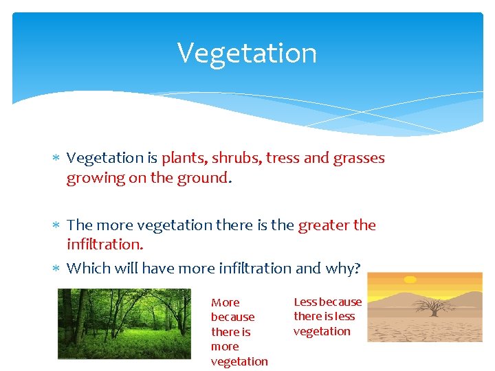 Vegetation is plants, shrubs, tress and grasses growing on the ground. The more vegetation