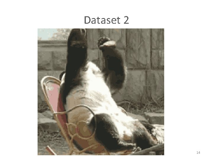 Dataset 2 First dataset, n=180 Second dataset, n=179 14 