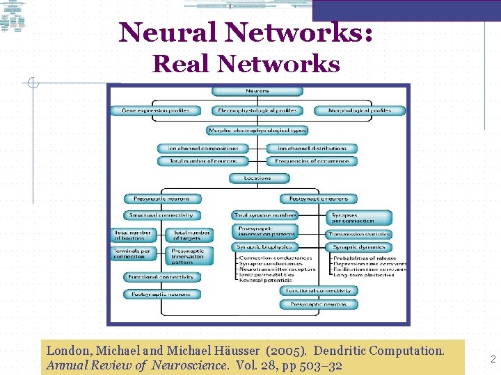 Neural Networks: Real Networks London, Michael and Michael Häusser (2005). Dendritic Computation. Annual Review