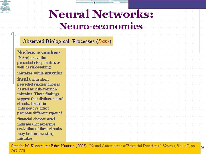 Neural Networks: Neuro-economics Observed Biological Processes (Data) Nucleus accumbens [NAcc] activation preceded risky choices