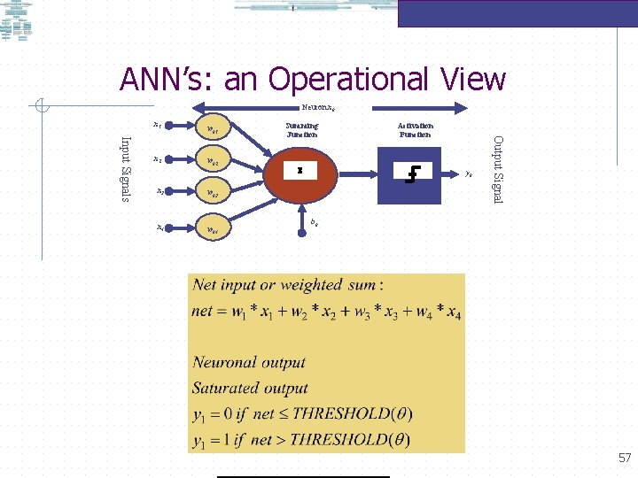 ANN’s: an Operational View Neuron xk x 1 wk 2 x 3 wk 3