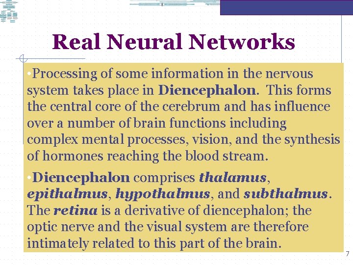 Real Neural Networks • Processing of some information in the nervous system takes place