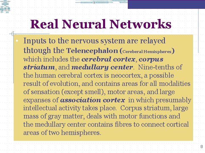 Real Neural Networks • Inputs to the nervous system are relayed thtough the Telencephalon