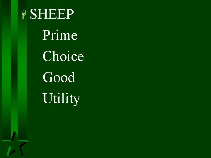 H SHEEP Prime Choice Good Utility 