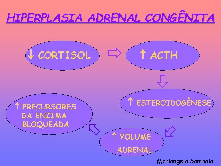 HIPERPLASIA ADRENAL CONGÊNITA CORTISOL ACTH PRECURSORES DA ENZIMA BLOQUEADA ESTEROIDOGÊNESE VOLUME ADRENAL Mariangela Sampaio