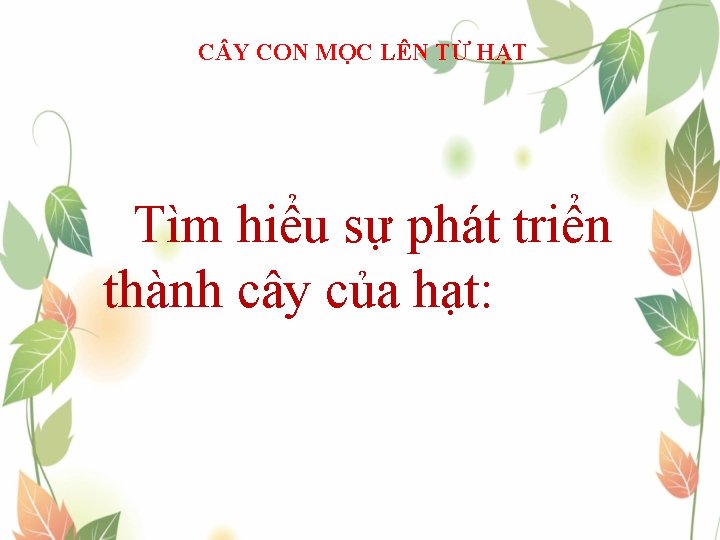 C Y CON MỌC LÊN TỪ HẠT Tìm hiểu sự phát triển thành cây