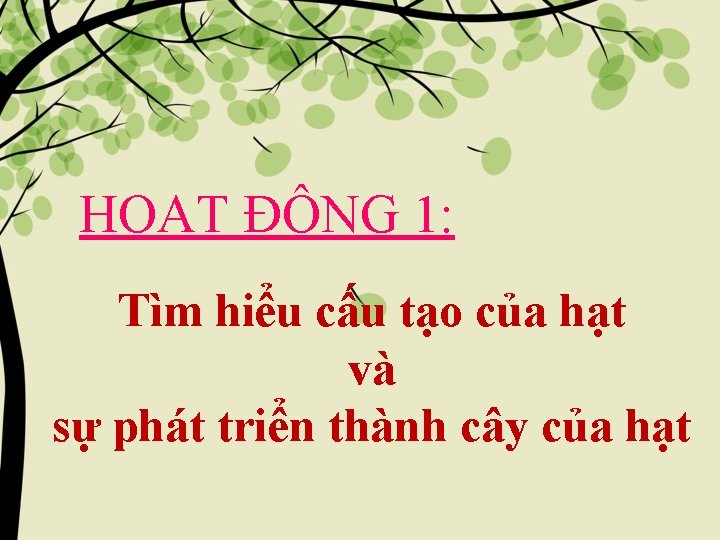 HOẠT ĐỘNG 1: Tìm hiểu cấu tạo của hạt và sự phát triển thành