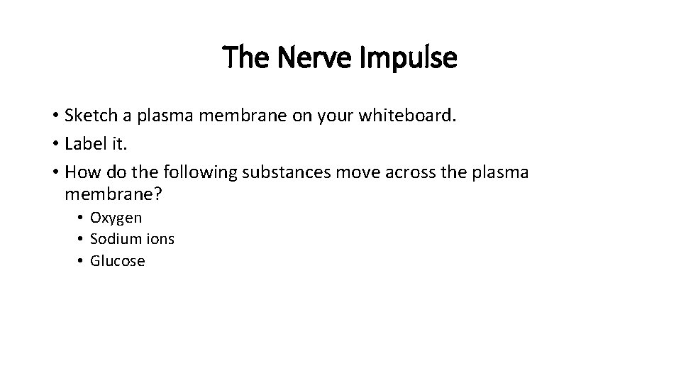 The Nerve Impulse • Sketch a plasma membrane on your whiteboard. • Label it.