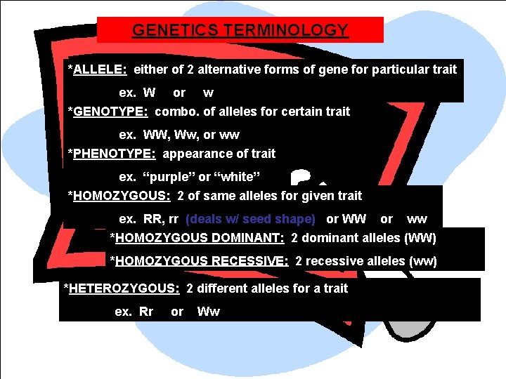GENETICS TERMINOLOGY *ALLELE: either of 2 alternative forms of gene for particular trait ex.