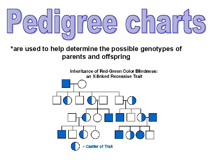 *are used to help determine the possible genotypes of parents and offspring 