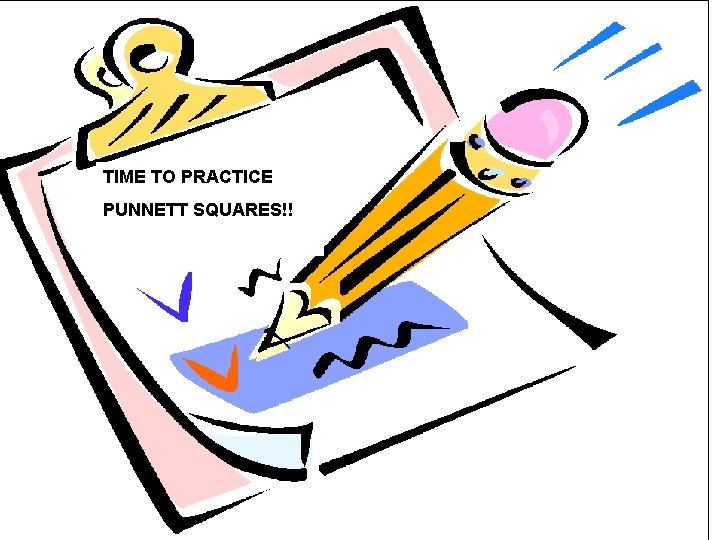 TIME TO PRACTICE PUNNETT SQUARES!! 