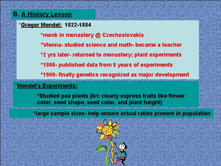 B. A History Lesson *Gregor Mendel: 1822 -1884 *monk in monastery @ Czechoslovakia *Vienna-