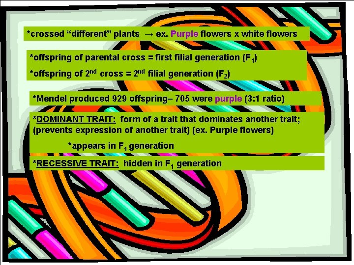 *crossed “different” plants → ex. Purple flowers x white flowers *offspring of parental cross