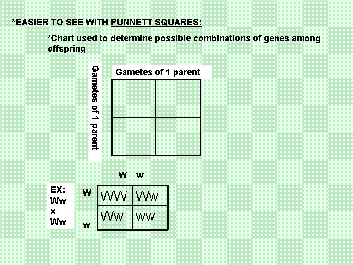*EASIER TO SEE WITH PUNNETT SQUARES: *Chart used to determine possible combinations of genes
