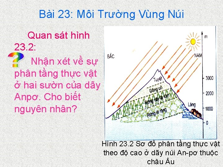 Bài 23: Môi Trường Vùng Núi Quan sát hình 23. 2: Nhận xét về