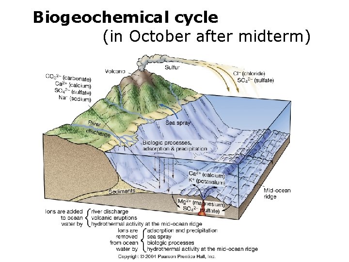 Biogeochemical cycle (in October after midterm) 