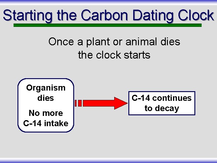 Starting the Carbon Dating Clock Once a plant or animal dies the clock starts