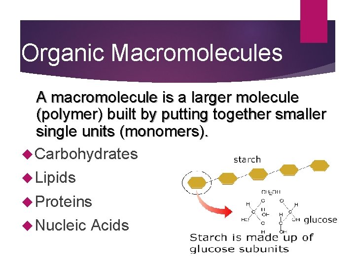 Organic Macromolecules A macromolecule is a larger molecule (polymer) built by putting together smaller