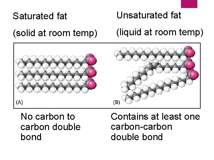 Saturated fat Unsaturated fat (solid at room temp) (liquid at room temp) No carbon