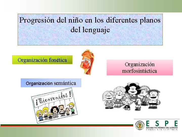Progresión del niño en los diferentes planos del lenguaje Organización fonética Organización semántica Organización