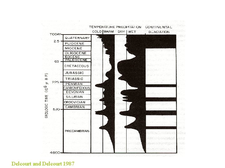 Delcourt and Delcourt 1987 