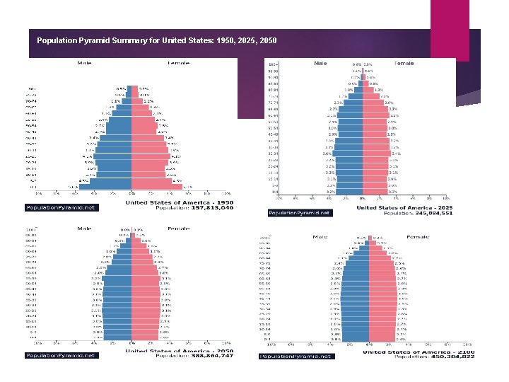 Population Pyramid Summary for United States: 1950, 2025, 2050 Population Pyramid Summary for United