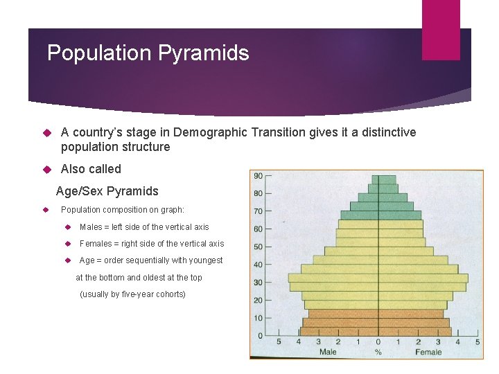Population Pyramids A country’s stage in Demographic Transition gives it a distinctive population structure