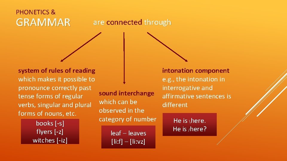 PHONETICS & GRAMMAR are connected through system of rules of reading which makes it