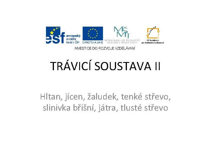 TRÁVICÍ SOUSTAVA II Hltan, jícen, žaludek, tenké střevo, slinivka břišní, játra, tlusté střevo 