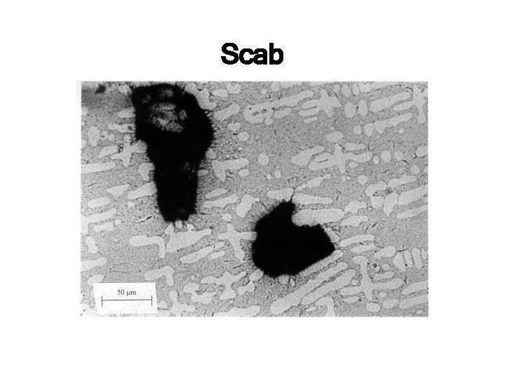 Scab 