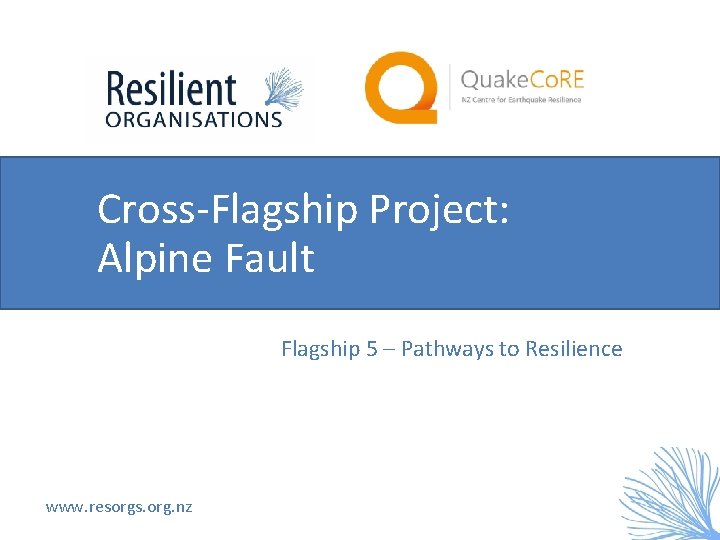 Cross-Flagship Project: Alpine Fault Flagship 5 – Pathways to Resilience www. resorgs. org. nz