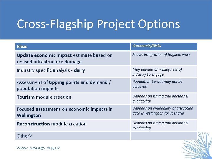 Cross-Flagship Project Options Ideas Comments/Risks Update economic impact estimate based on revised infrastructure damage