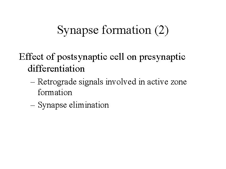 Synapse formation (2) Effect of postsynaptic cell on presynaptic differentiation – Retrograde signals involved