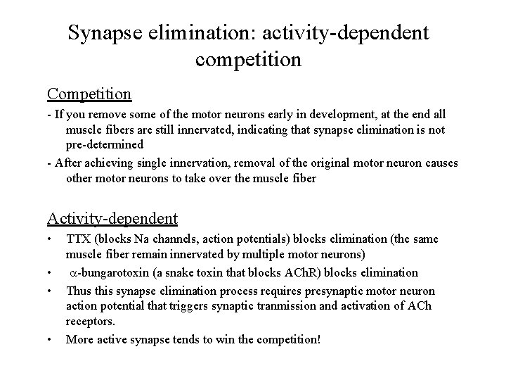 Synapse elimination: activity-dependent competition Competition - If you remove some of the motor neurons