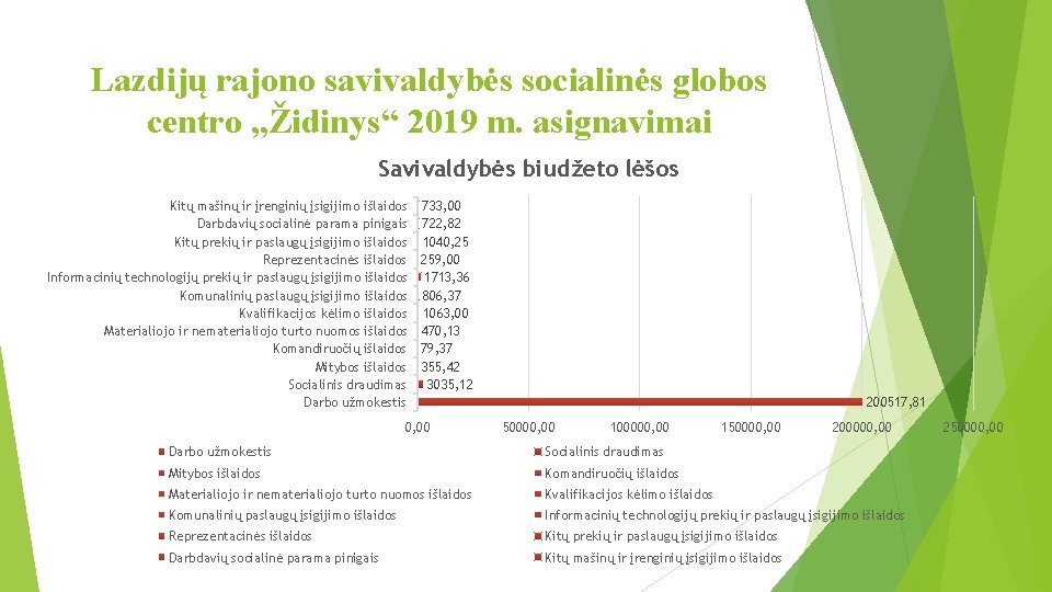 Lazdijų rajono savivaldybės socialinės globos centro „Židinys“ 2019 m. asignavimai Savivaldybės biudžeto lėšos Kitų