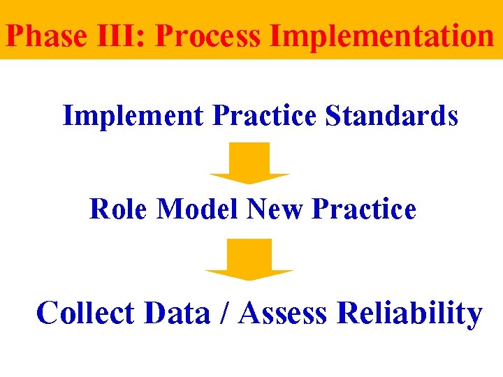 Phase III: Process Implementation Implement Practice Standards Role Model New Practice Collect Data /