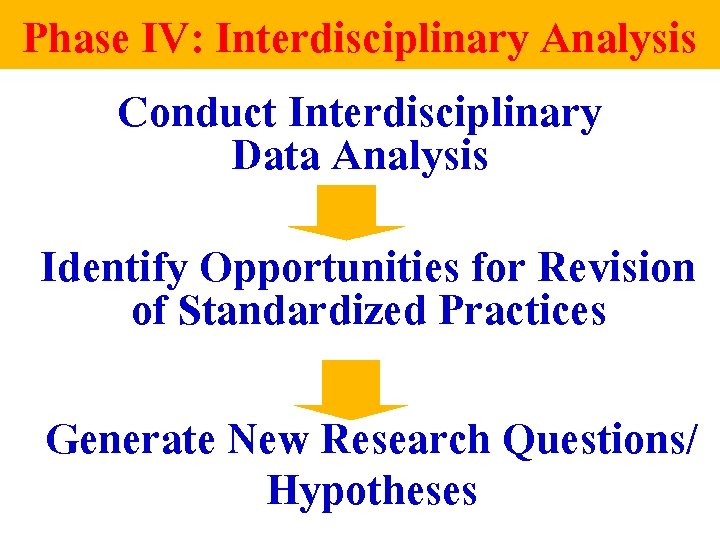 Phase IV: Interdisciplinary Analysis Conduct Interdisciplinary Data Analysis Identify Opportunities for Revision of Standardized