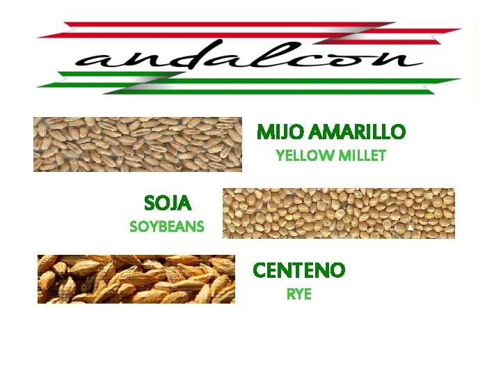 MIJO AMARILLO YELLOW MILLET SOJA SOYBEANS CENTENO RYE 