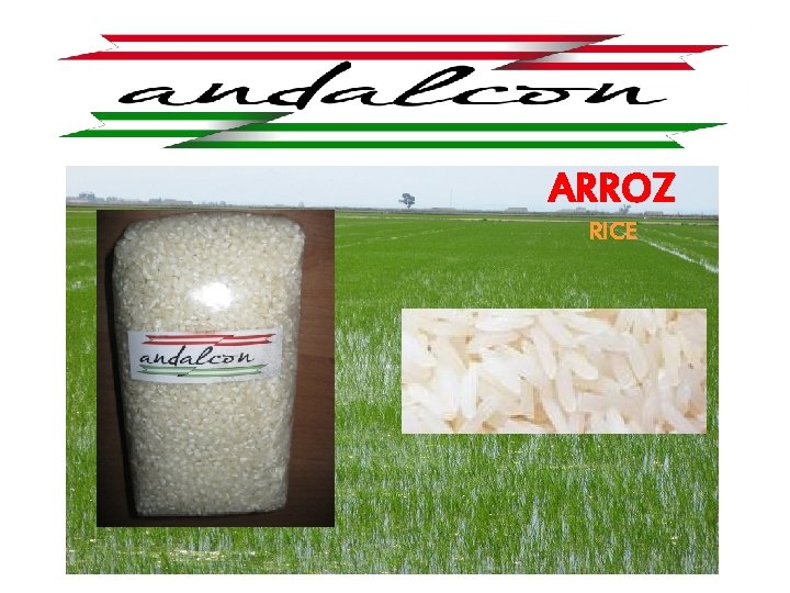 ARROZ RICE 