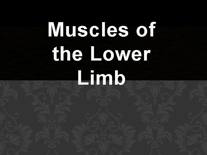 Muscles of the Lower Limb 