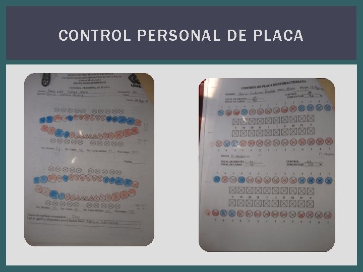 CONTROL PERSONAL DE PLACA 