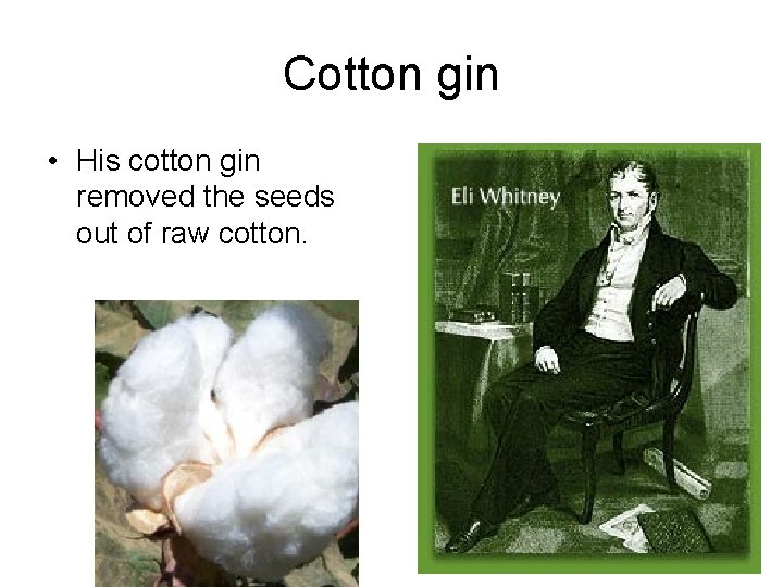 Cotton gin • His cotton gin removed the seeds out of raw cotton. 
