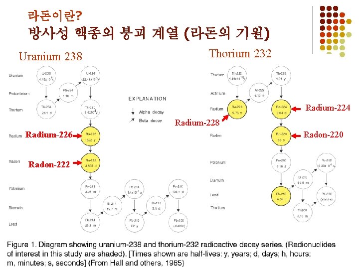 라돈이란? 방사성 핵종의 붕괴 계열 (라돈의 기원) Uranium 238 Thorium 232 Radium-224 Radium-228 Radium-226