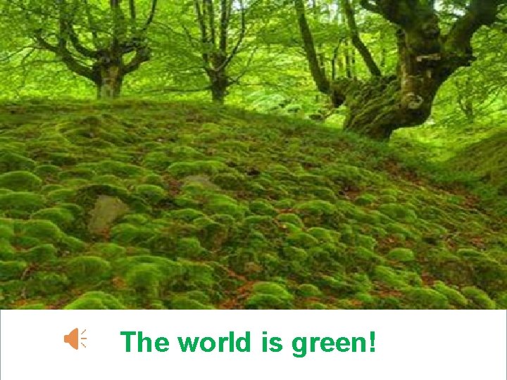 The world is green! 