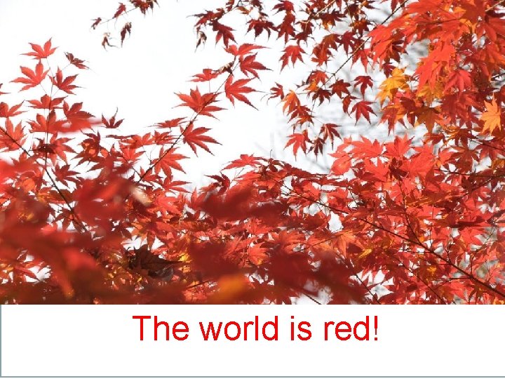 The world is red! 