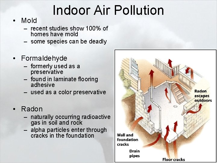  • Mold Indoor Air Pollution – recent studies show 100% of homes have