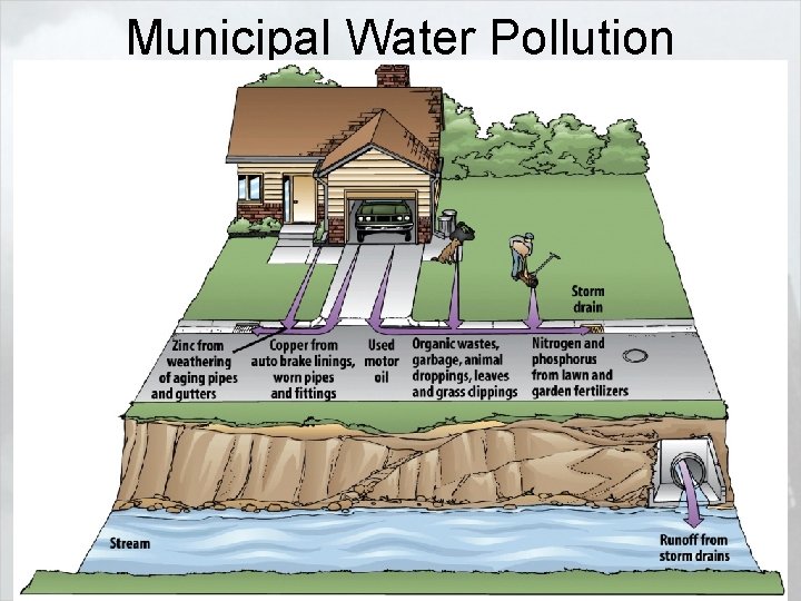 Municipal Water Pollution 