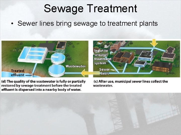 Sewage Treatment • Sewer lines bring sewage to treatment plants 