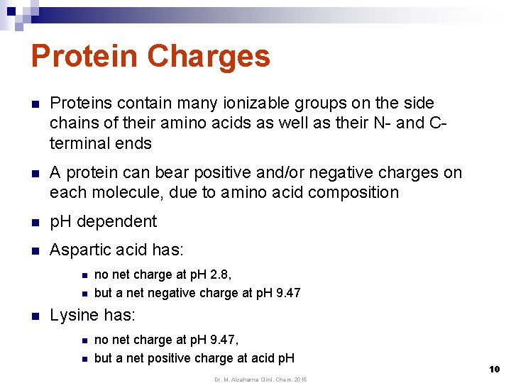 Protein Charges n Proteins contain many ionizable groups on the side chains of their