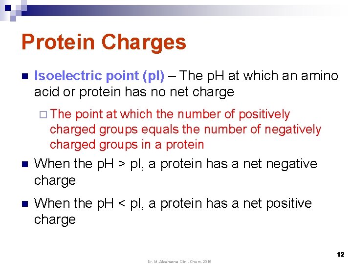 Protein Charges n Isoelectric point (p. I) – The p. H at which an